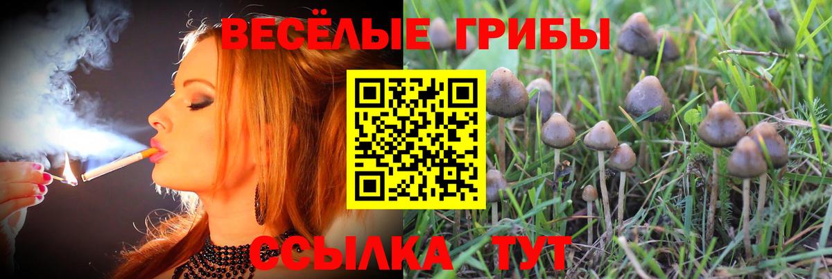 Галлюциногенные грибы Magic Shrooms  Вход с VPN  Урюпинск 